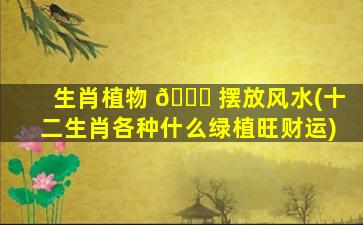 生肖植物 🐎 摆放风水(十二生肖各种什么绿植旺财运)